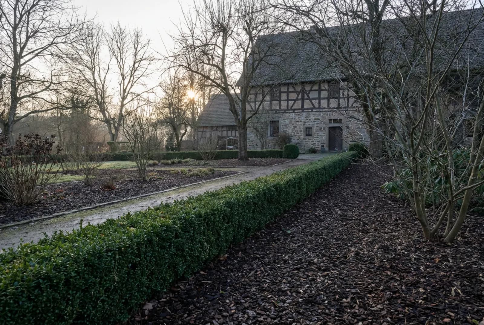 Sauber geschnittene Hecke und frisch gemulchte Beete im Spätwinter bei tief stehender Sonne