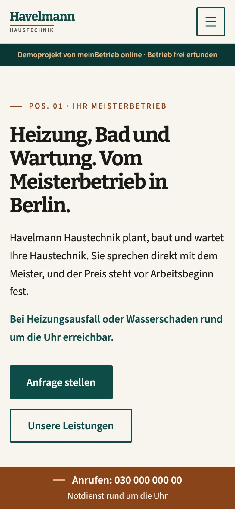 Demo auf dem Handy: Startseite mit Leistung, Ort und Anfrageknopf